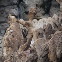 Photo de France - Le Palais idéal du Facteur Cheval